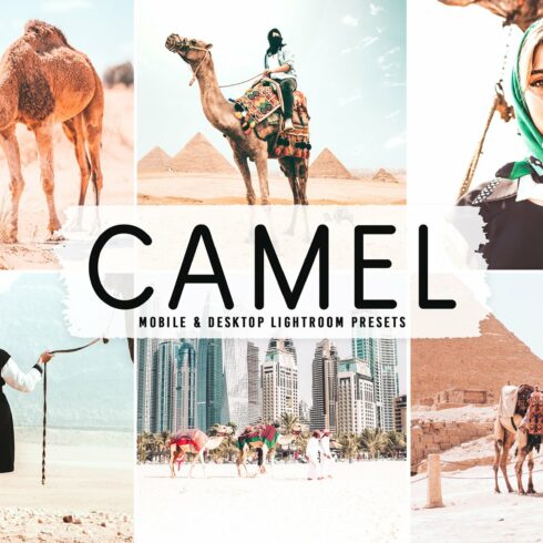 Camel Pro Lightroom Presetscover image.