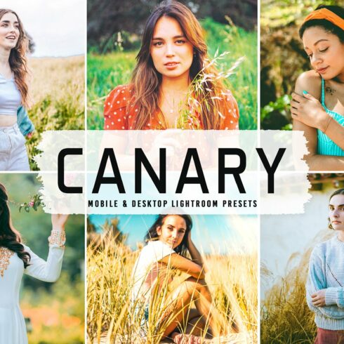 Canary Pro Lightroom Presetscover image.