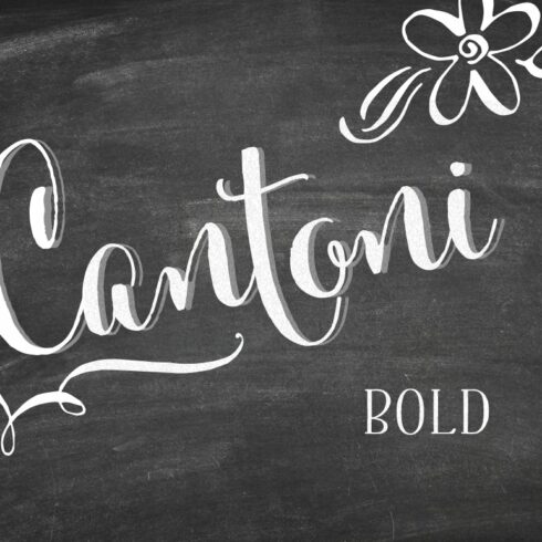 Cantoni Bold Font cover image.