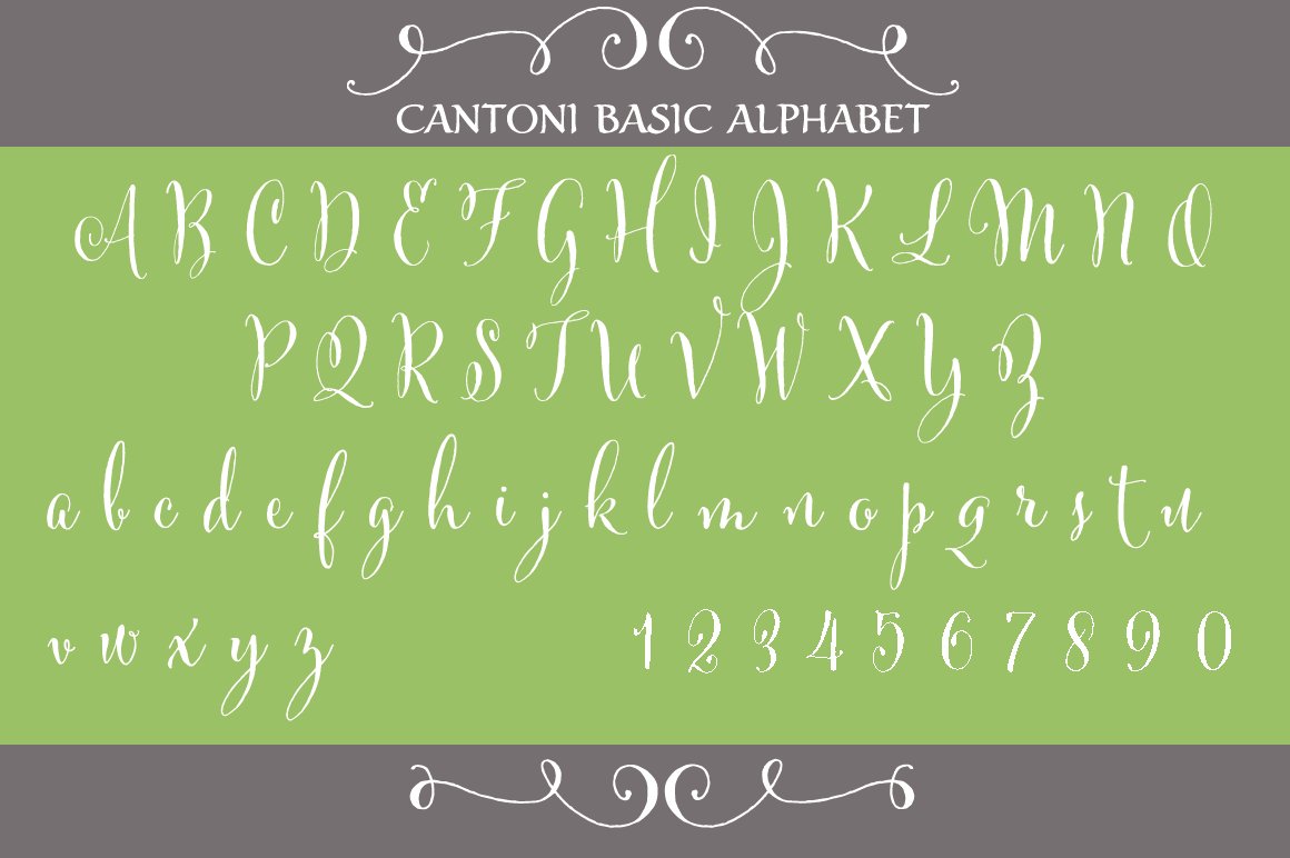 Cantoni Hand Lettered Font preview image.