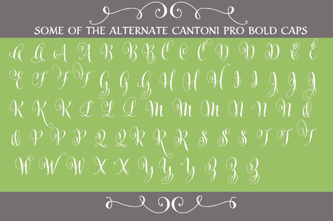 Cantoni Pro Bold Font preview image.
