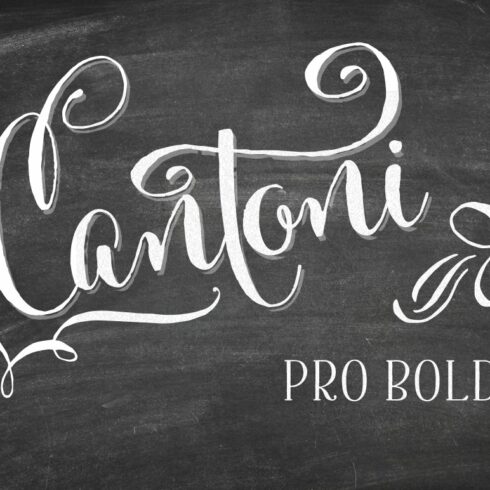 Cantoni Pro Bold Font cover image.