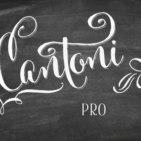 Cantoni Pro Hand Lettered Font cover image.