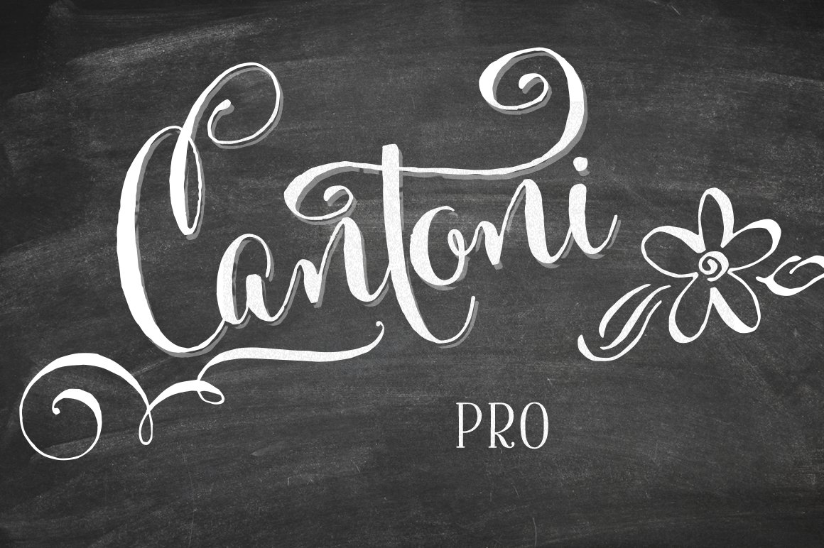 Cantoni Pro Hand Lettered Font cover image.