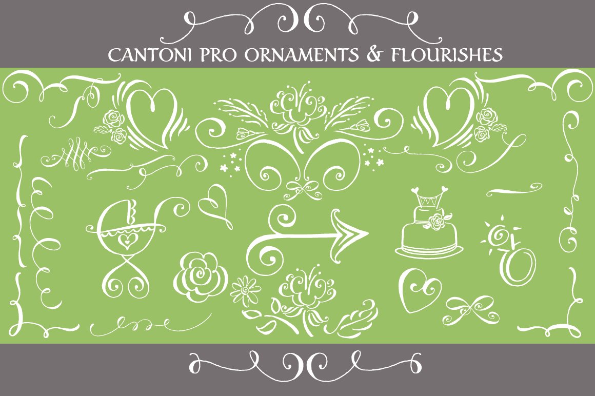 cantoni pro ornaments and flourishes 834
