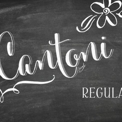Cantoni Hand Lettered Font cover image.