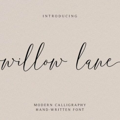 Calligraphy fontWedding font, Moderncover image.