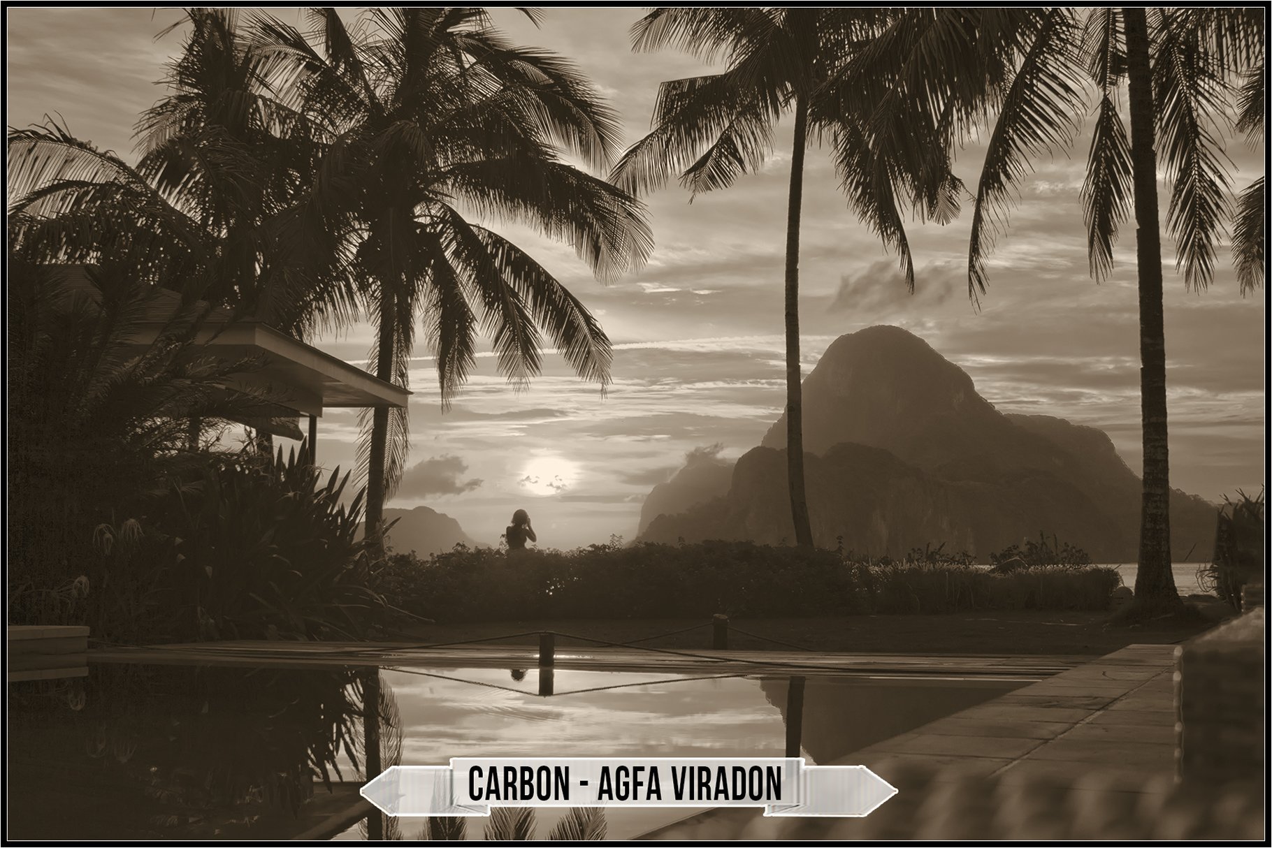 carbon agfa viradon 63