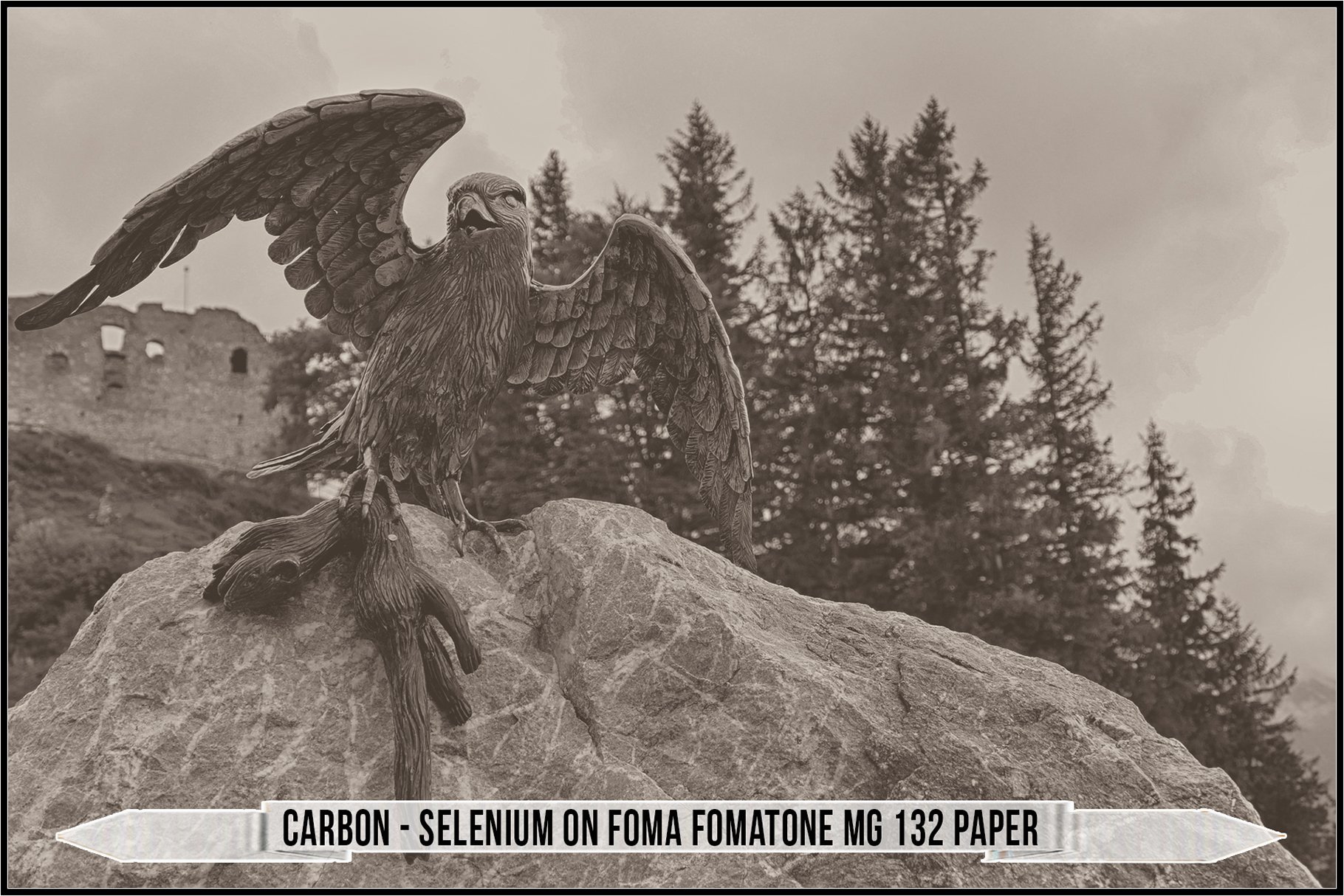 carbon selenium on foma fomatone mg 132 paper 249