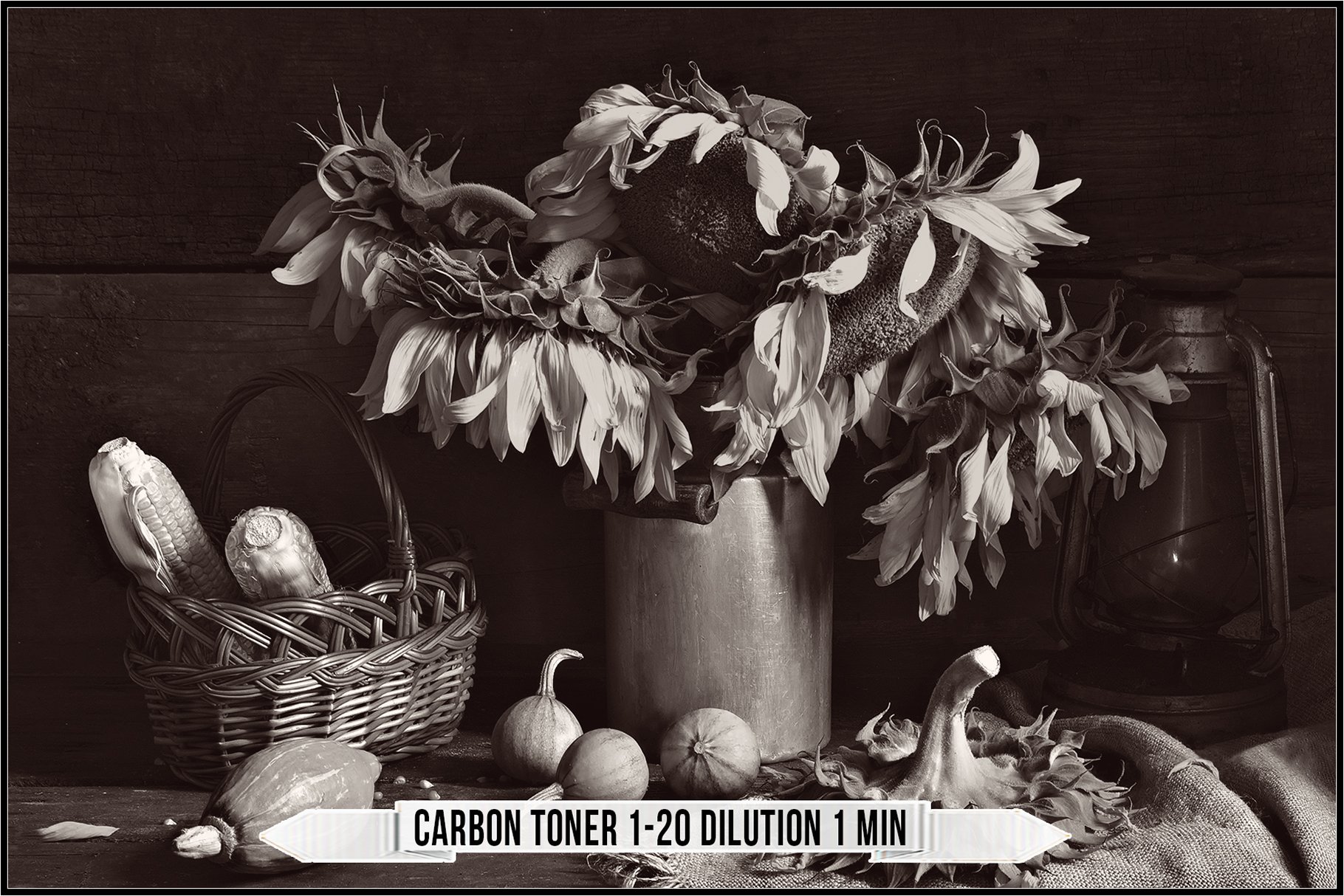 carbon toner 1 20 dilution 1 min 635