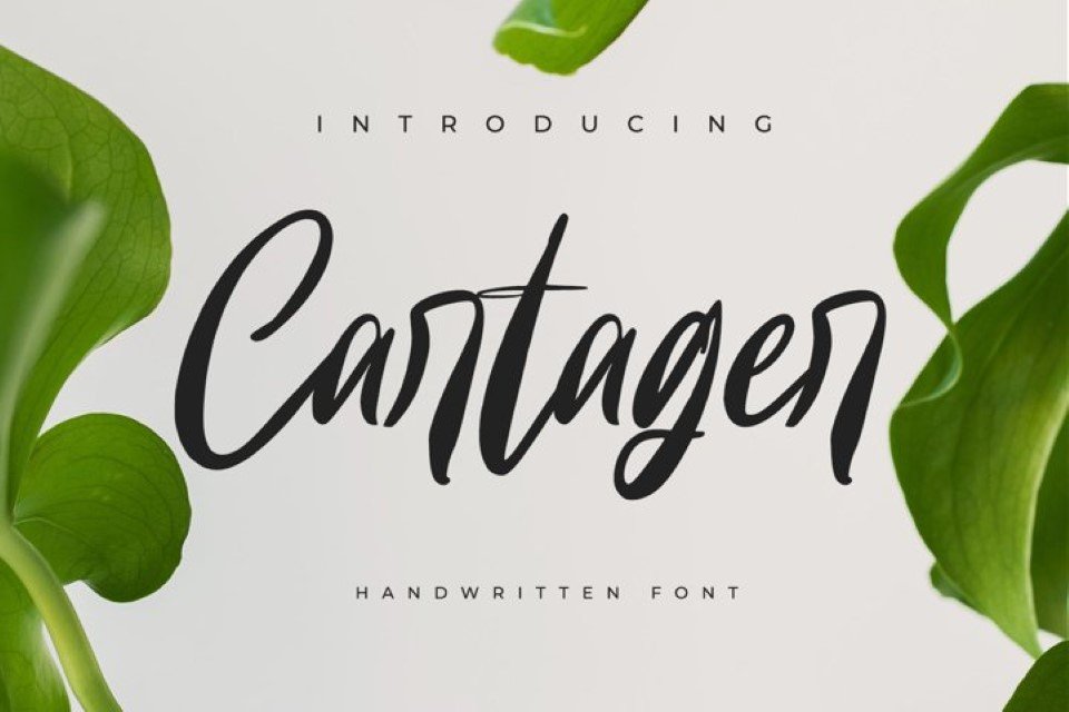 Cartager cover image.