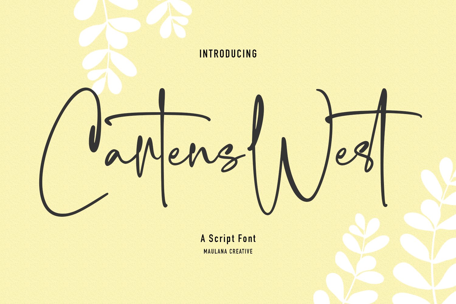 Cartens West Script Font cover image.