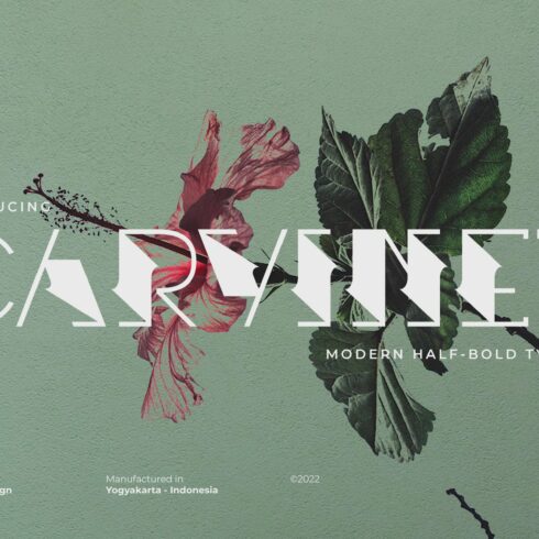 Carvinet cover image.