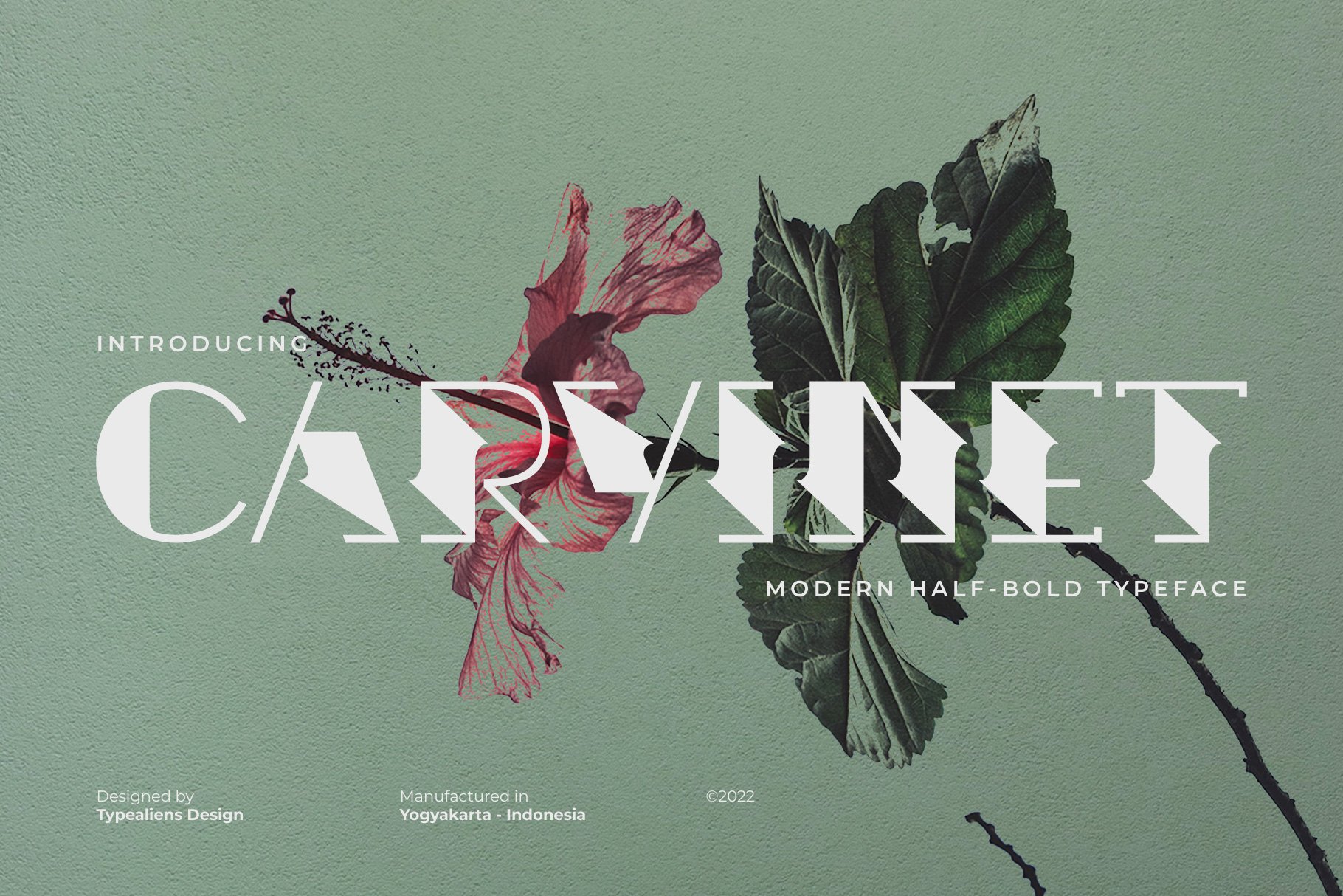 Carvinet cover image.