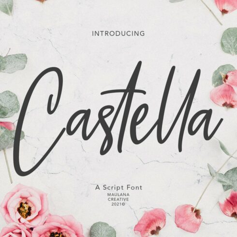 Castella Script Font cover image.