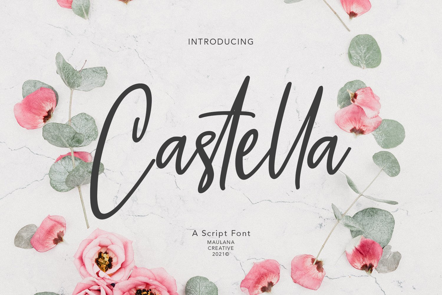 Castella Script Font cover image.