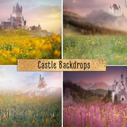 Castle backdropscover image.