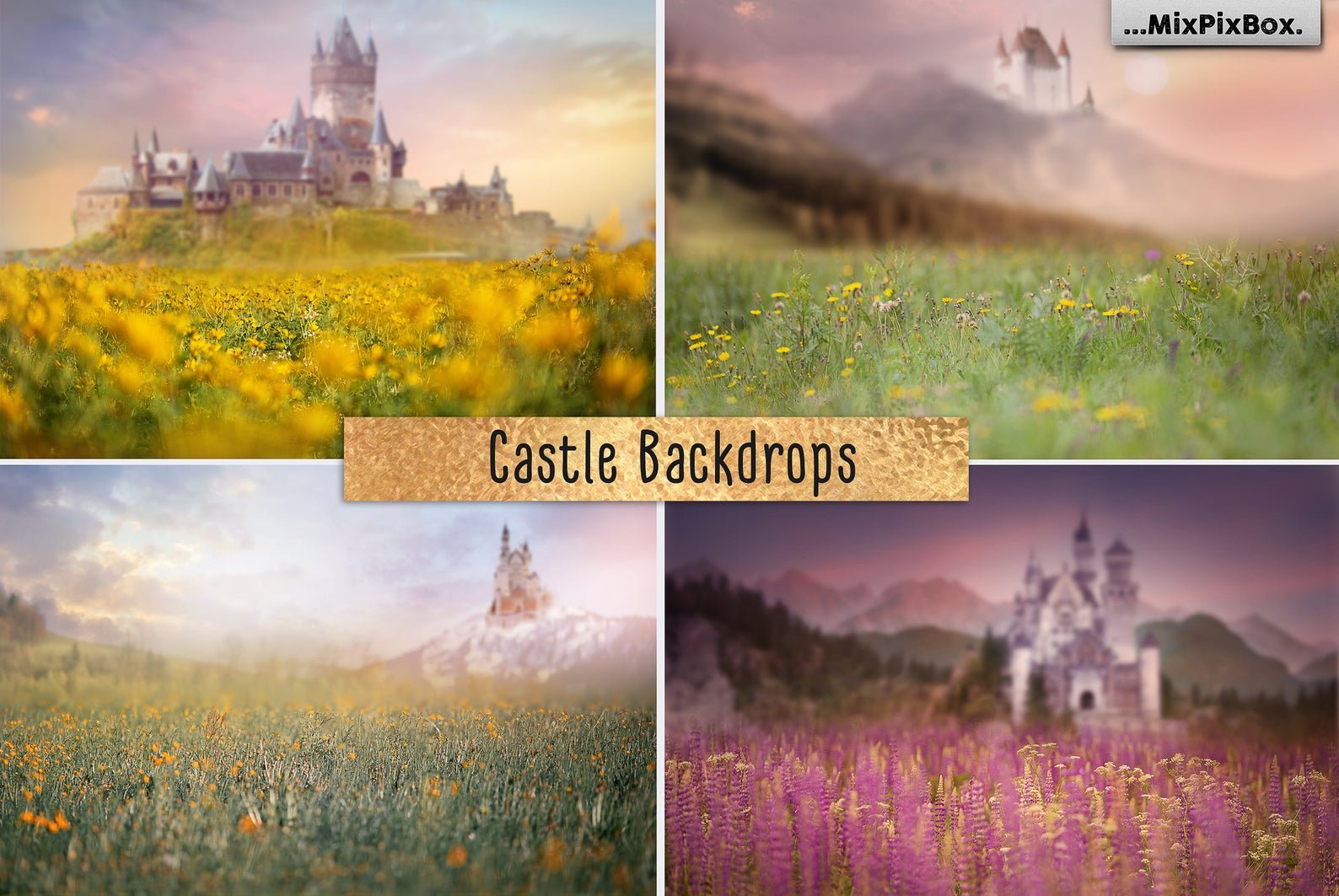 Castle backdropscover image.