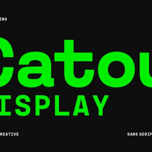 Catou Sans Serif Display Font cover image.