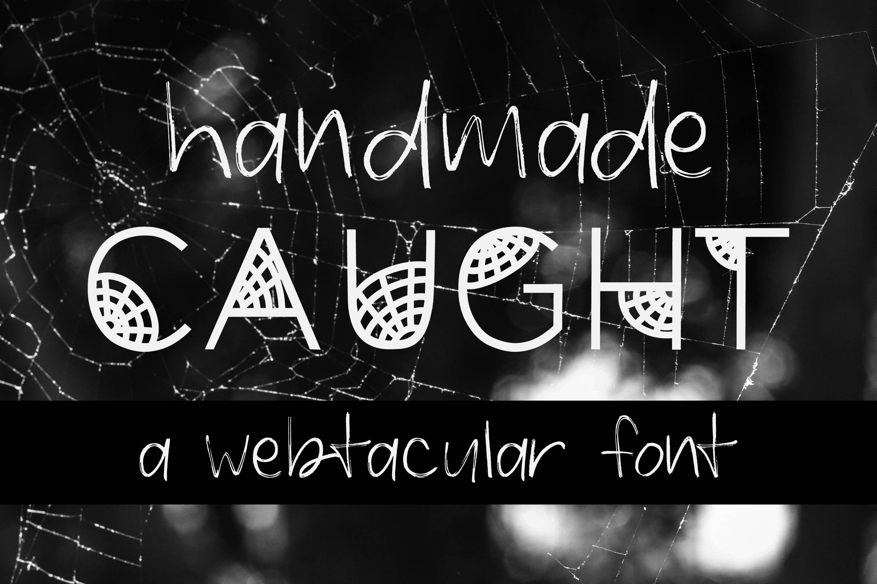 Caught Font Halloween Cobweb Display cover image.