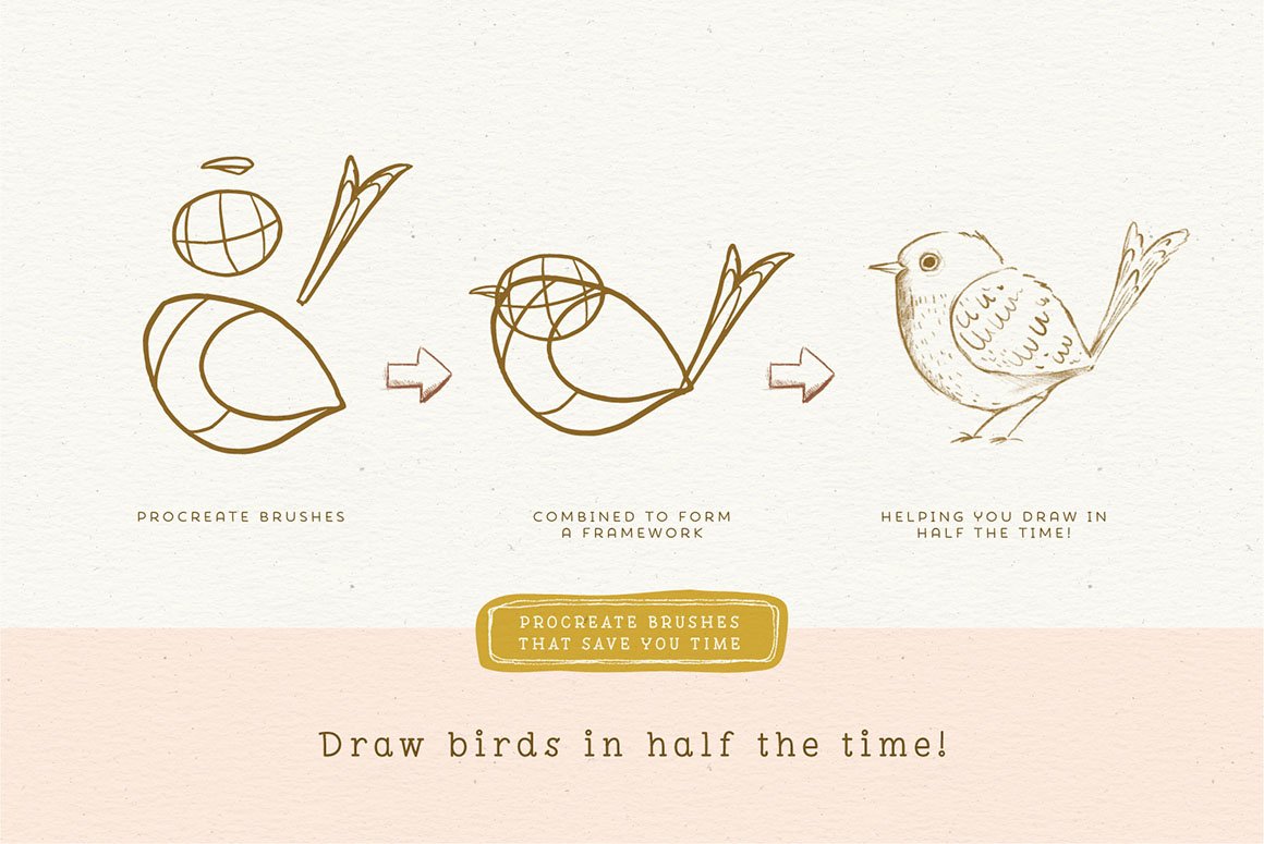 Procreate Bird Drawing Toolkitpreview image.