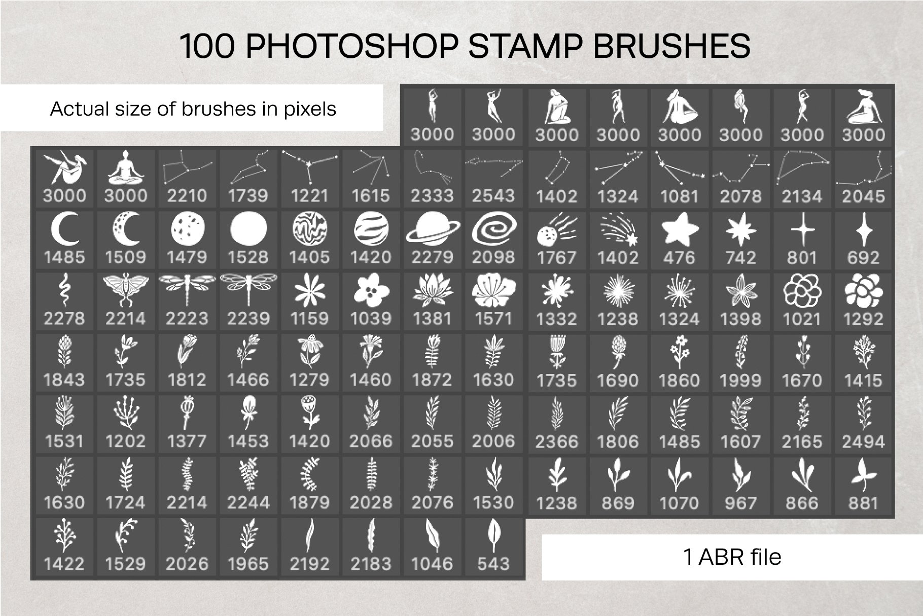 celestial woman stamp brushes 4 745