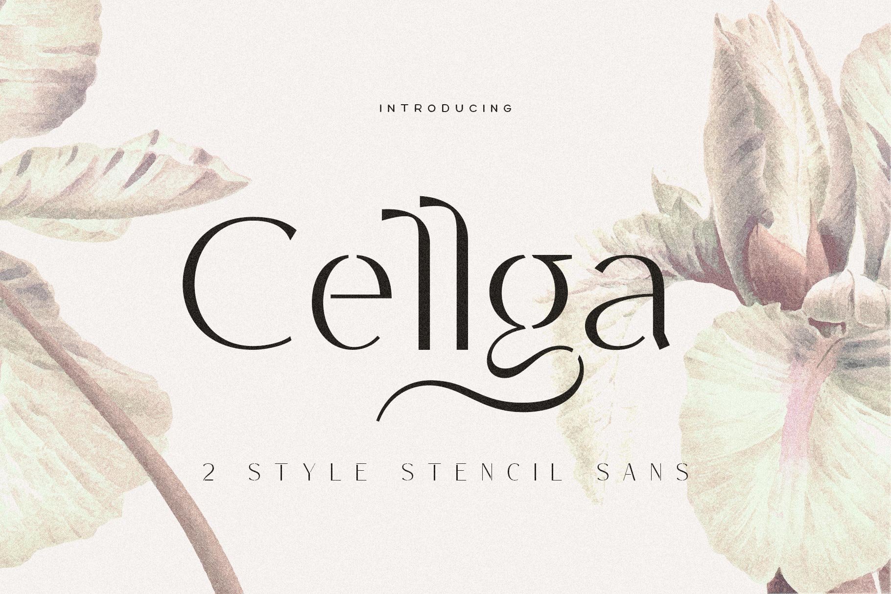 Cellga Typeface cover image.