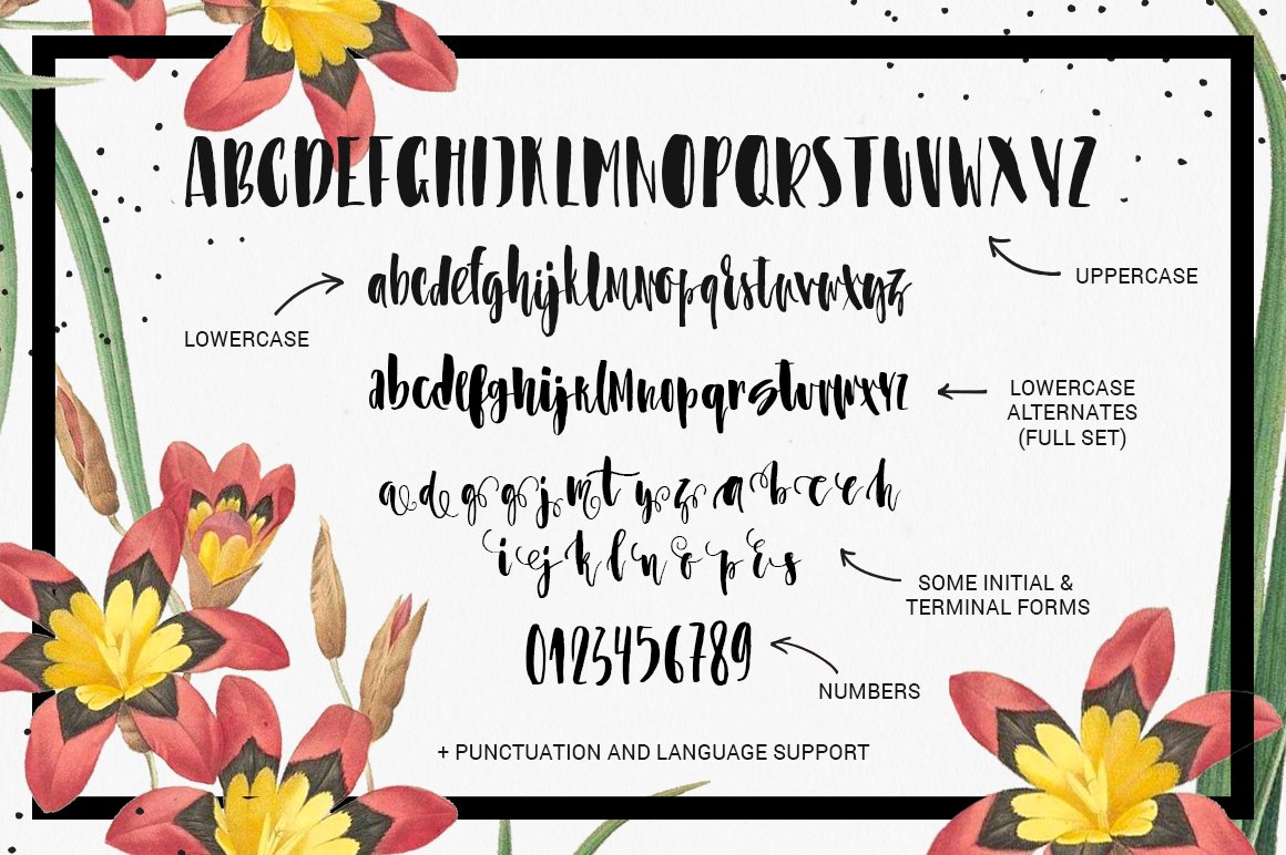 Asparagus - whimsical brush font preview image.