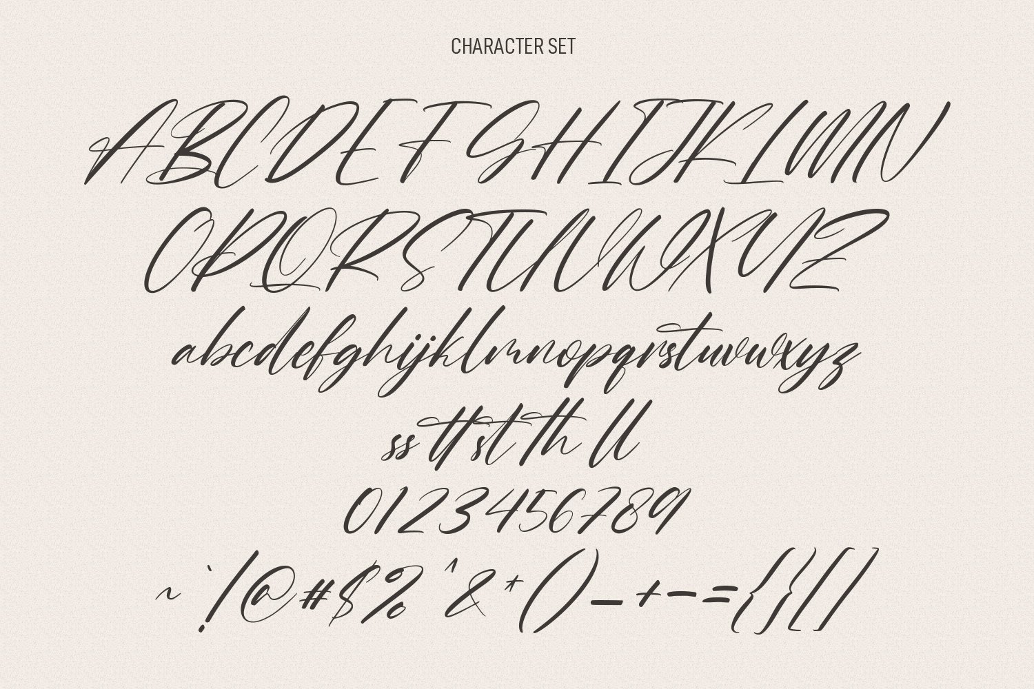 charlotte matthew signature script font 8 449