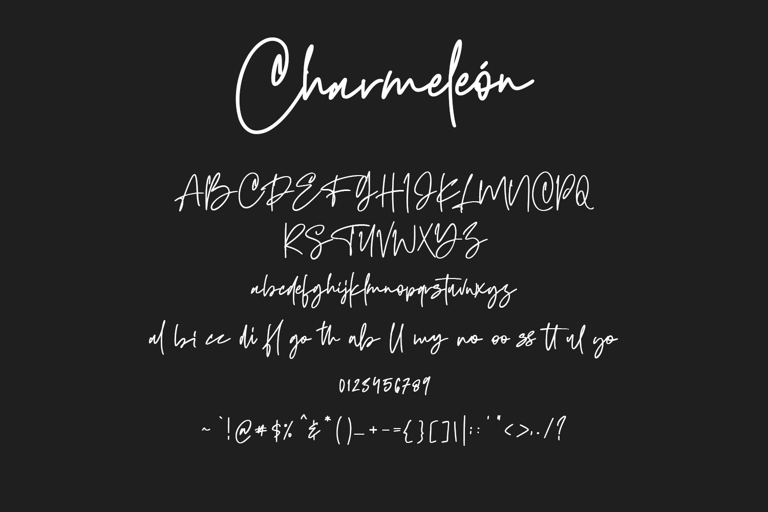 charmeleon script typeface 6 770