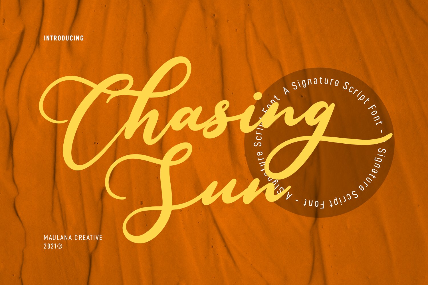 Chasing Sun Script Font cover image.