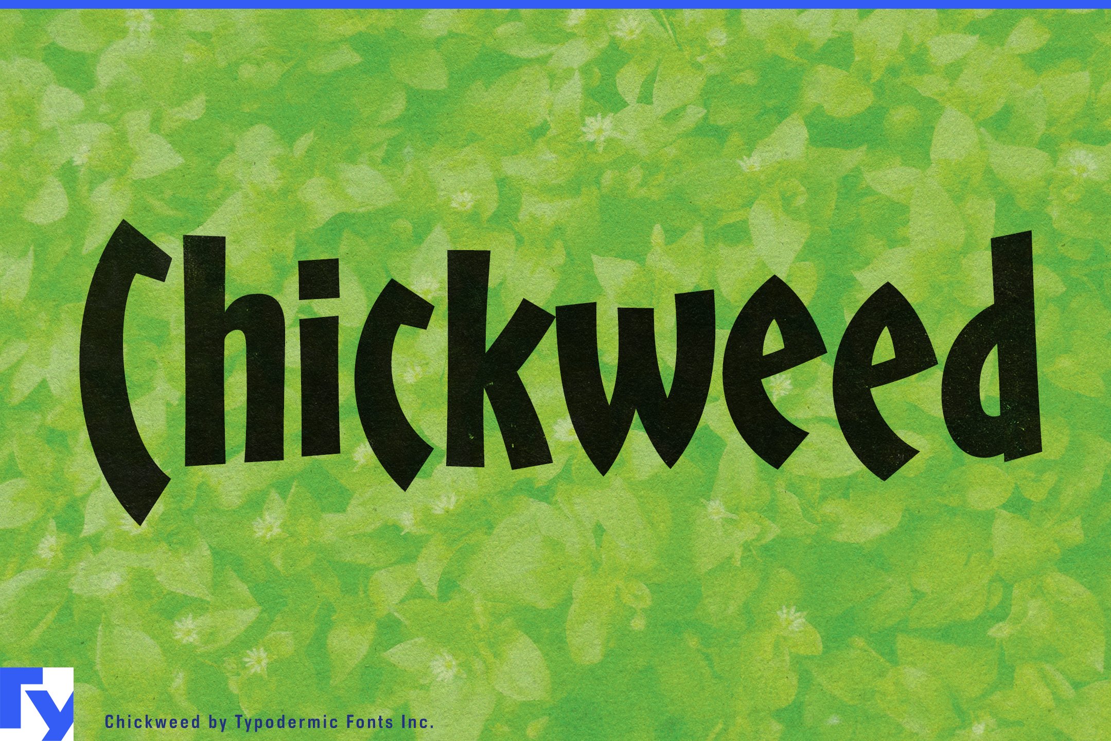 Chickweed cover image.