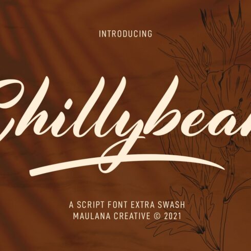 Chillybeans Script Font cover image.