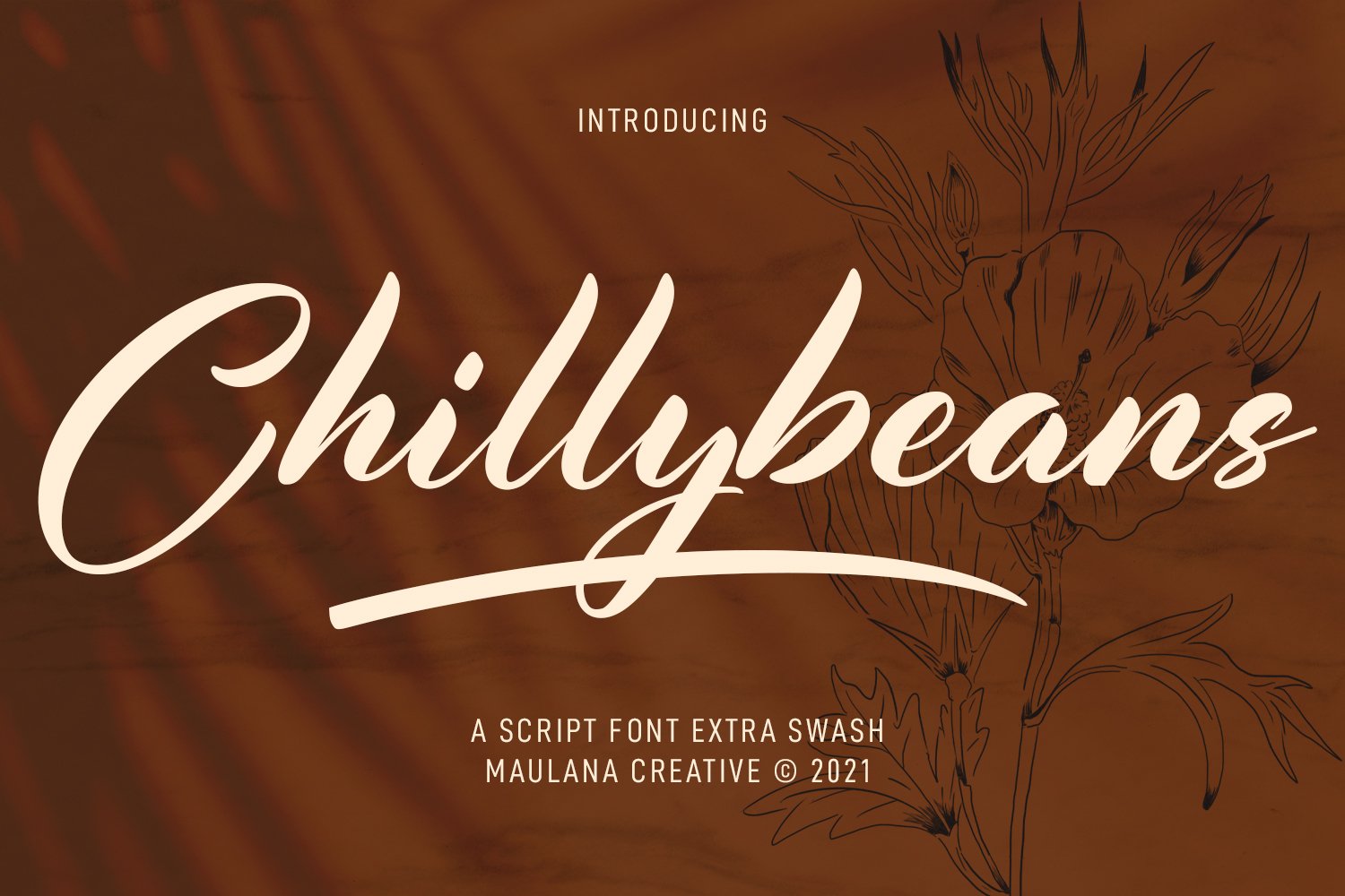 Chillybeans Script Font cover image.