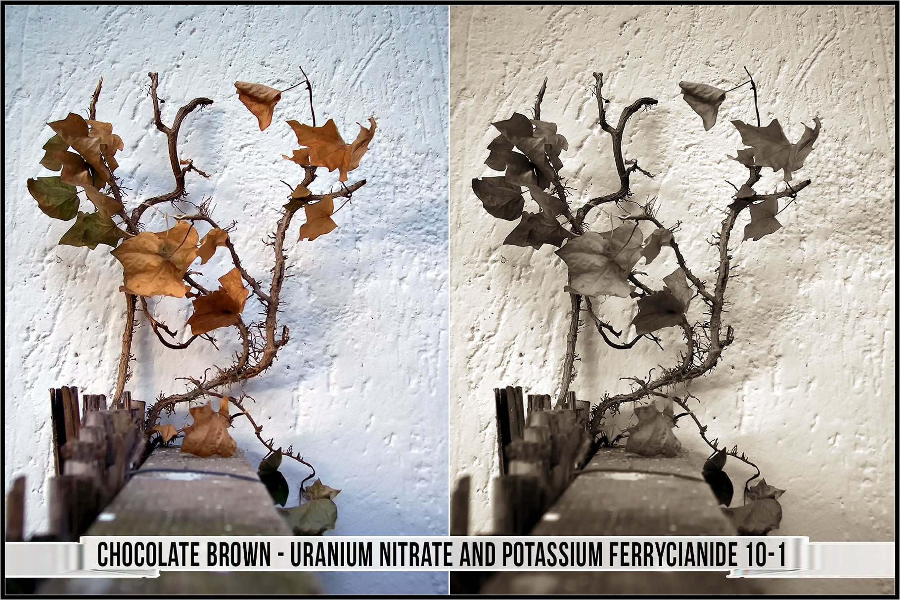 chocolate brown uranium nitrate and potassium ferrycianide 10 1 154