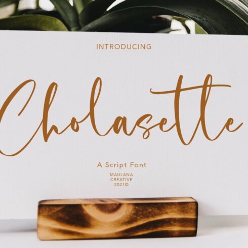 Cholasette Script Font cover image.