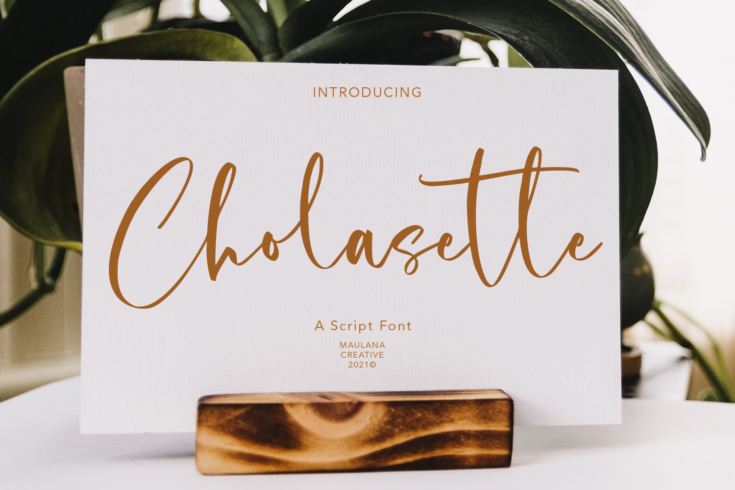 Cholasette Script Font cover image.