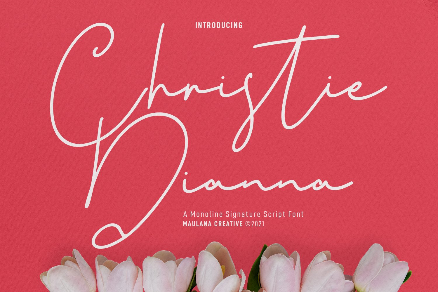 Christie Dianna Font cover image.