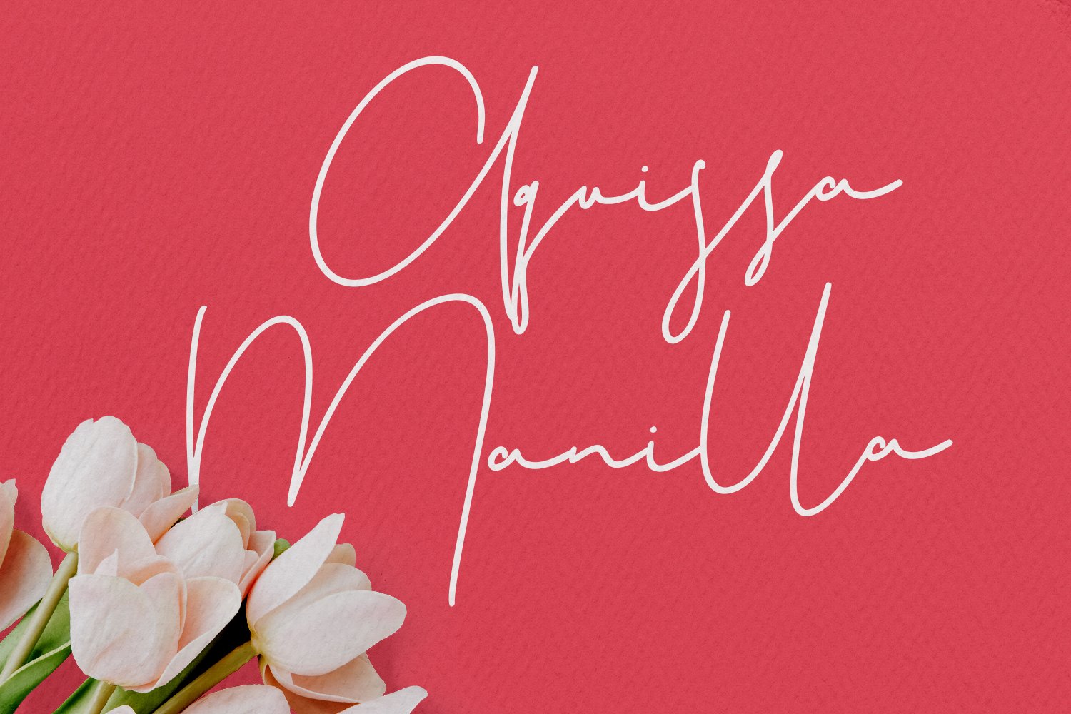 christie dianna monoline signature script font 4 992