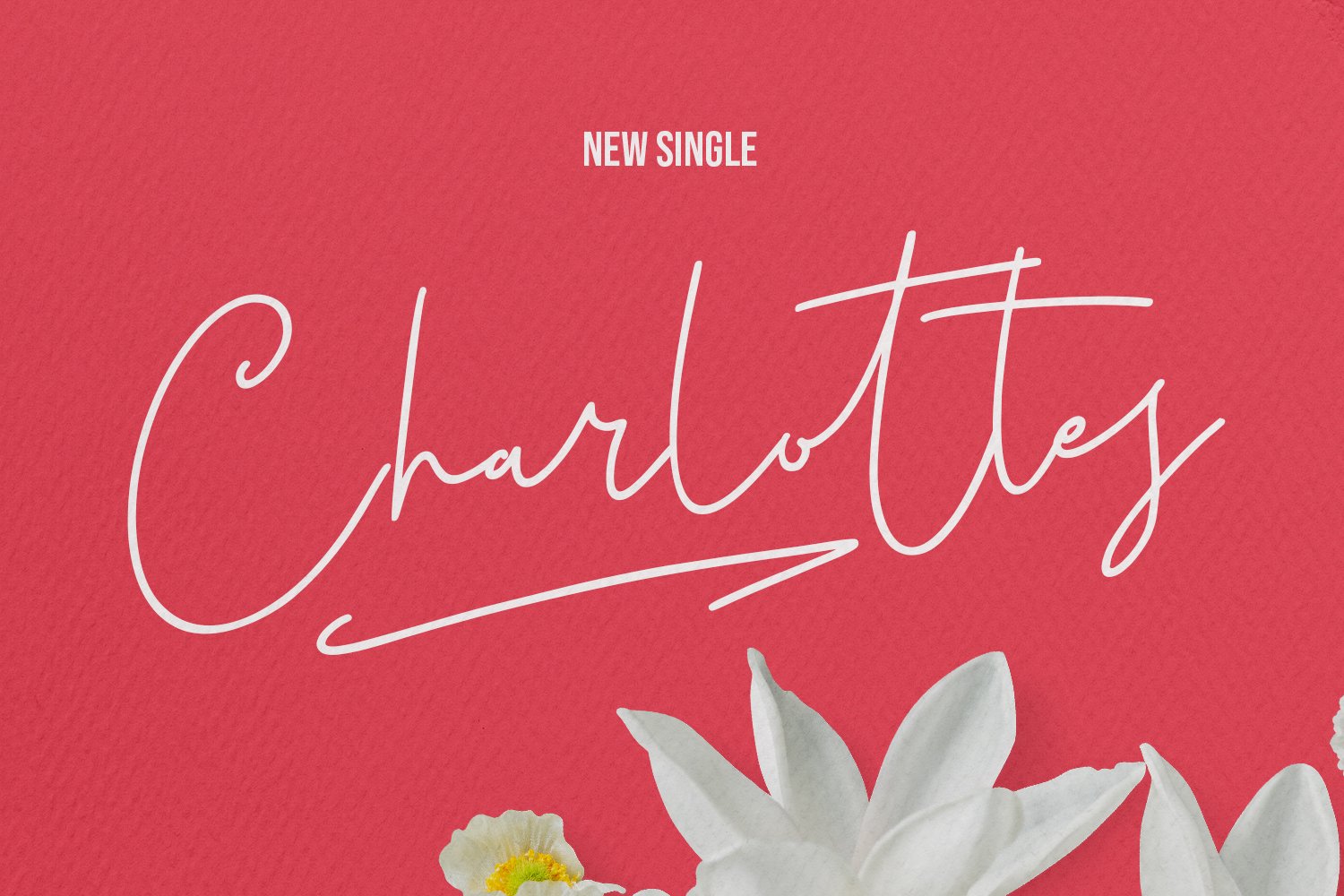 christie dianna monoline signature script font 5 393