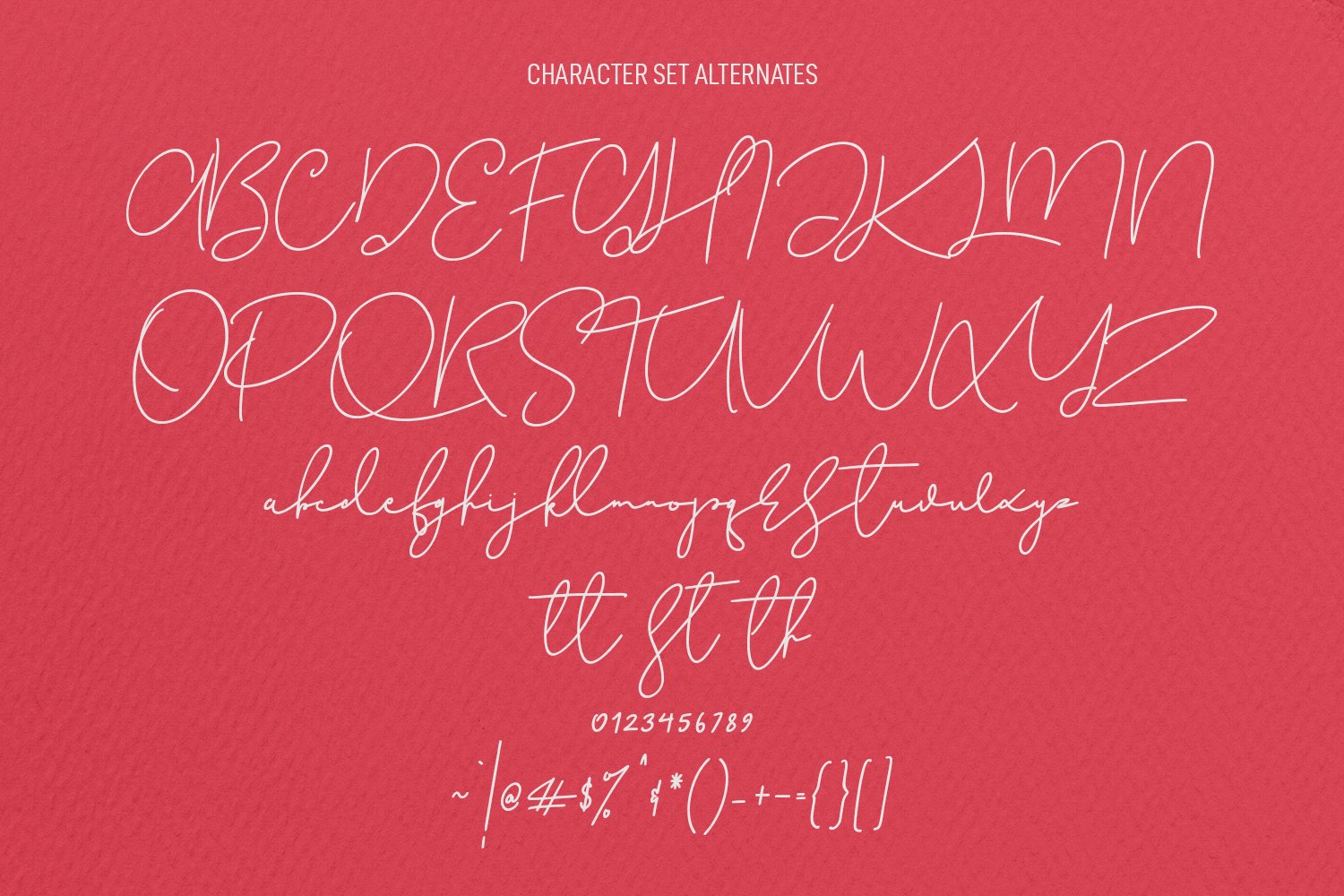 christie dianna monoline signature script font 8 234