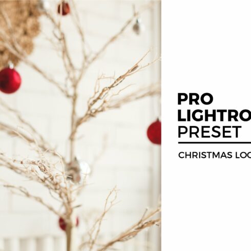 Christmas Look Lightroom Presetcover image.
