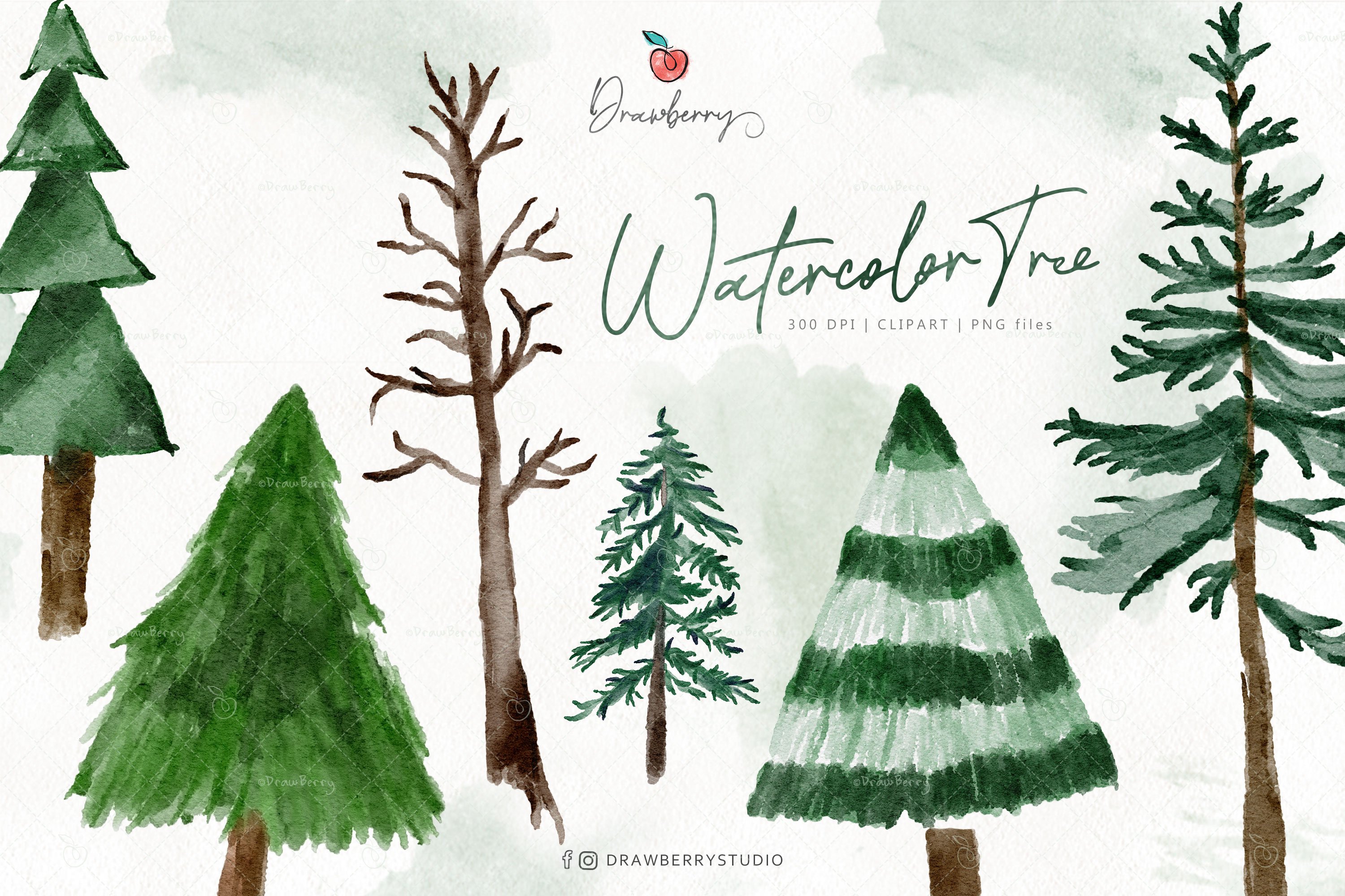 Watercolor Forest Tree Clipart CP111 cover image.