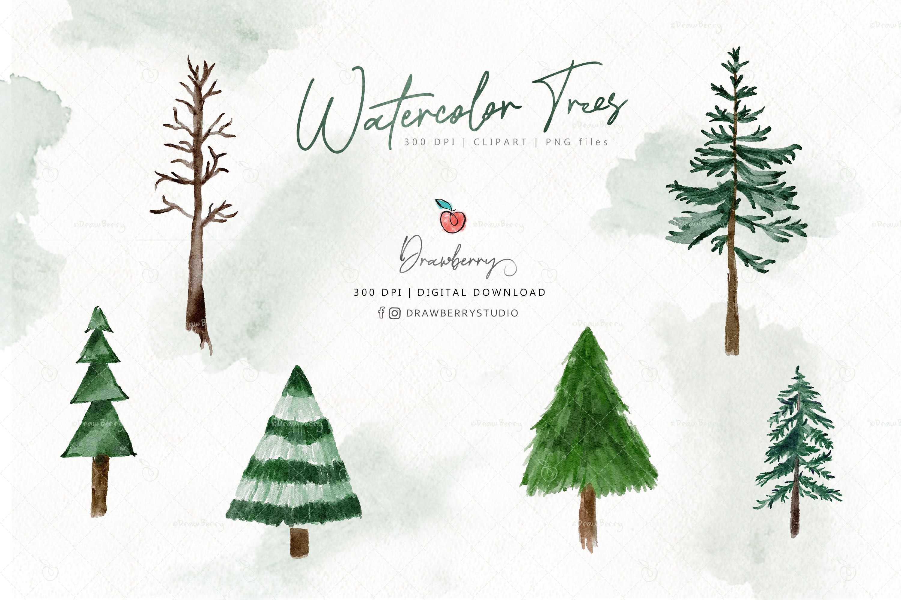 Watercolor Forest Tree Clipart CP111 preview image.