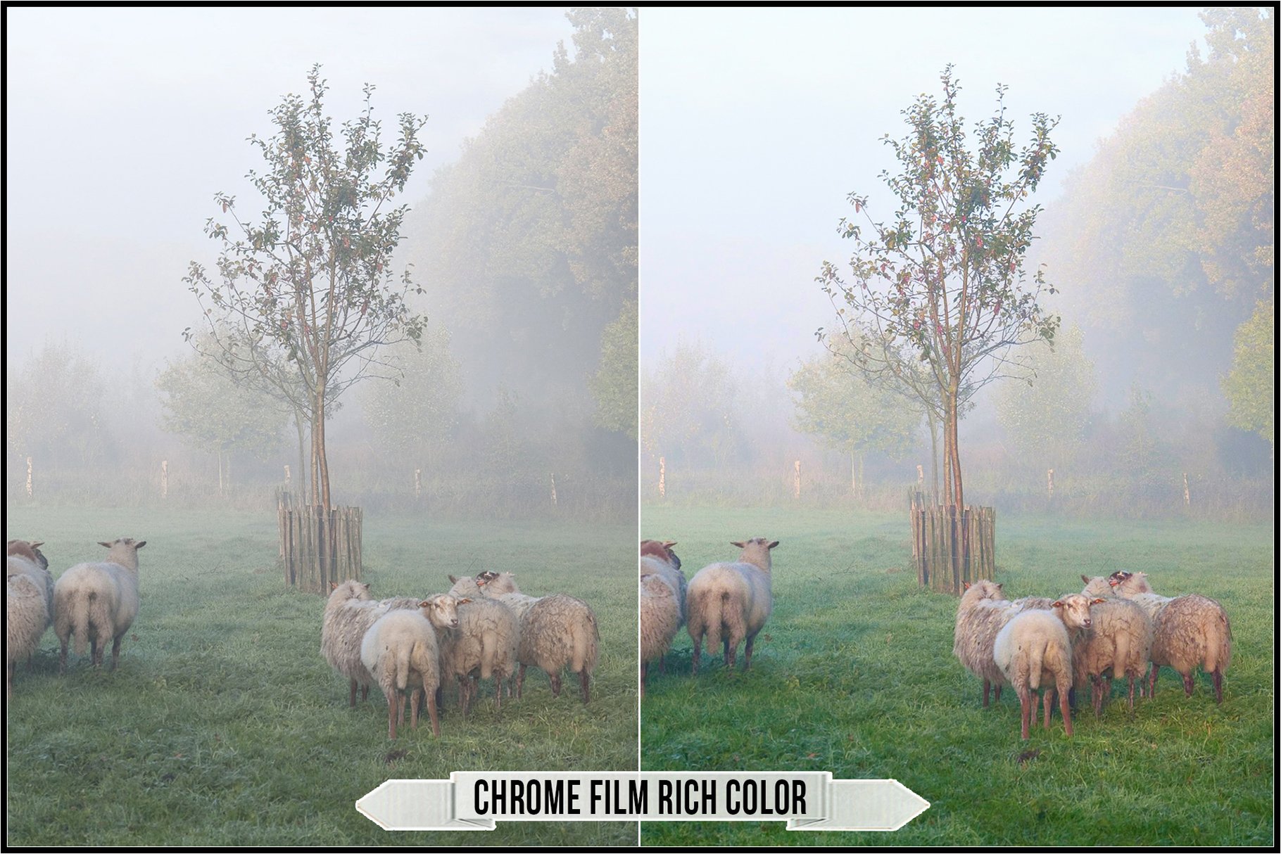 chrome film rich color 294