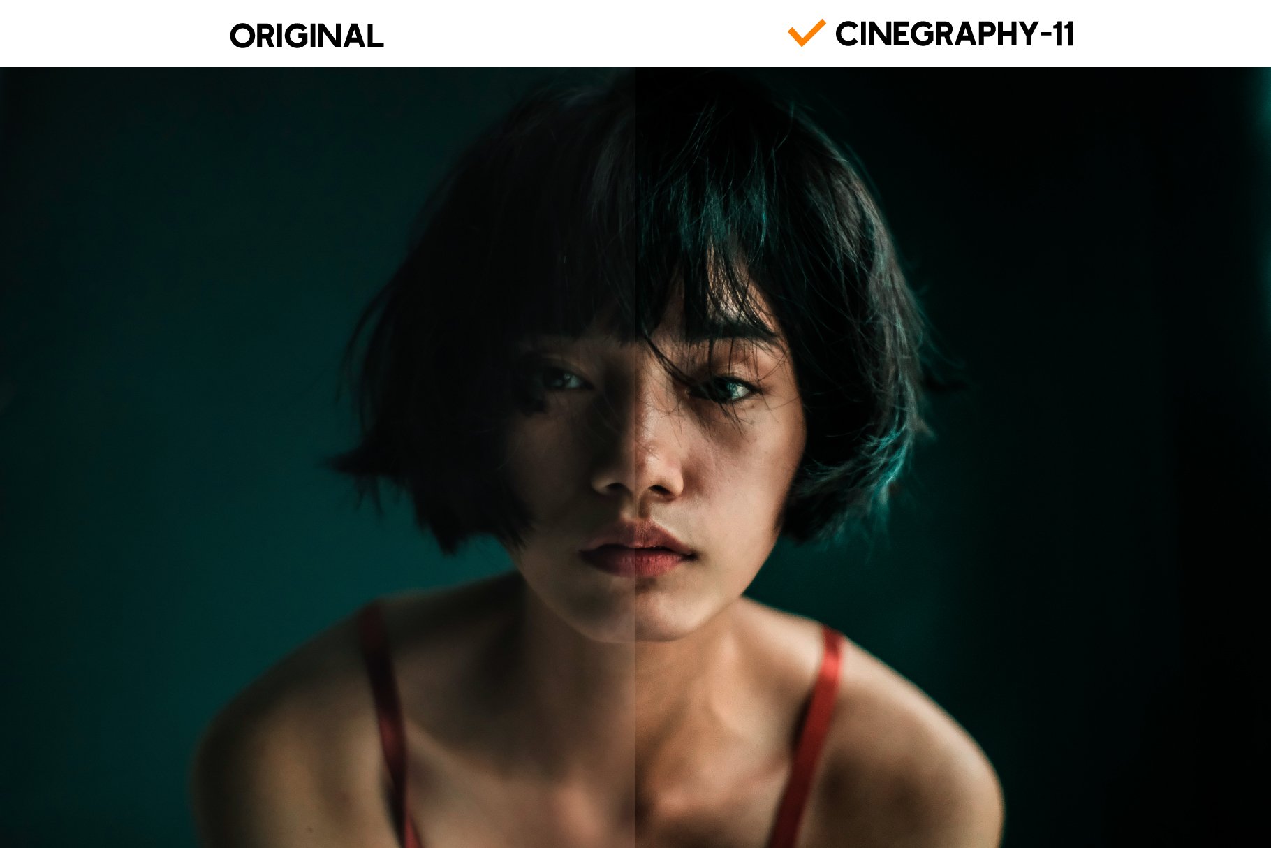 cinegraphy 11 245