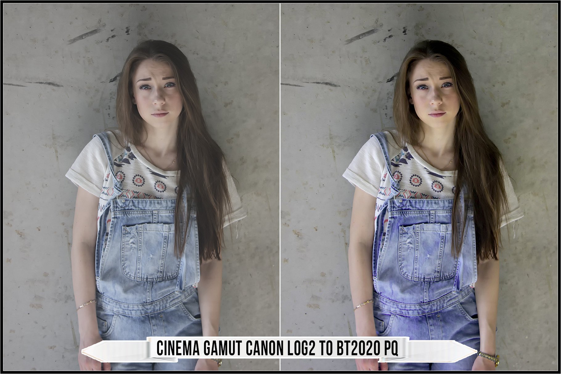 cinema gamut canon log2 to bt2020 pq 248