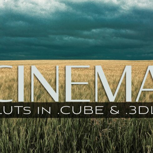 3d LUTs - Cinemacover image.