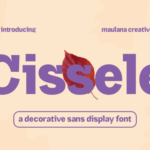 Cissele Display Font cover image.