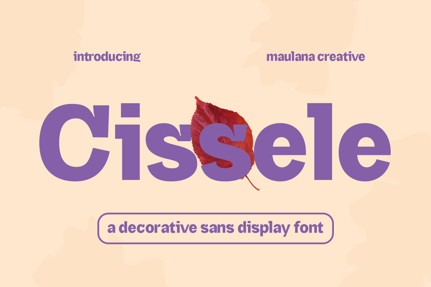 Cissele Display Font cover image.